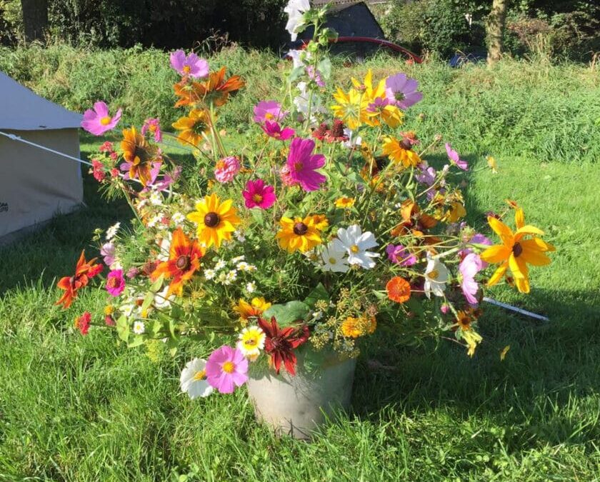 Zomer